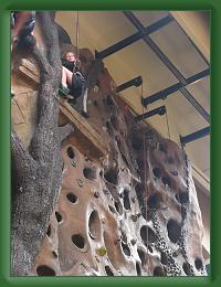 Wall Climb (14) * 2448 x 3264 * (5.96MB)